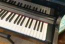 Roland Melodicas Hp605