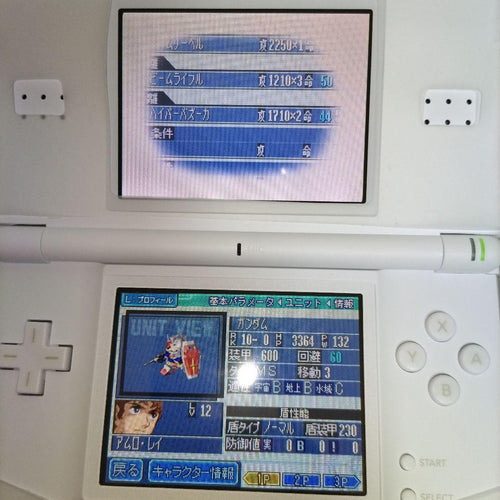 Nintendo Ds Consoles Lite) G Ver.