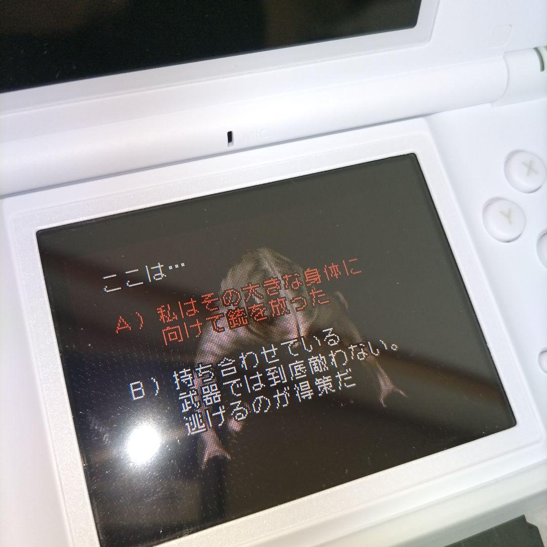 Nintendo Ds Consoles Lite) G Ver.