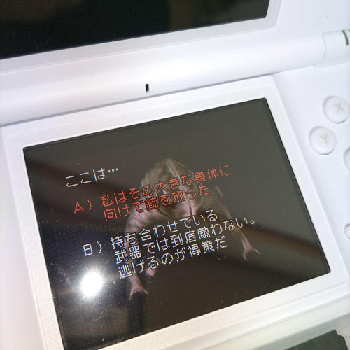 Nintendo Ds Consoles Lite) G Ver.