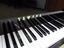 Yamaha Grand Piano C3A 3