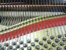 Yamaha Grand Piano C3A 3
