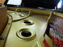 Yamaha Grand Piano C3A 3
