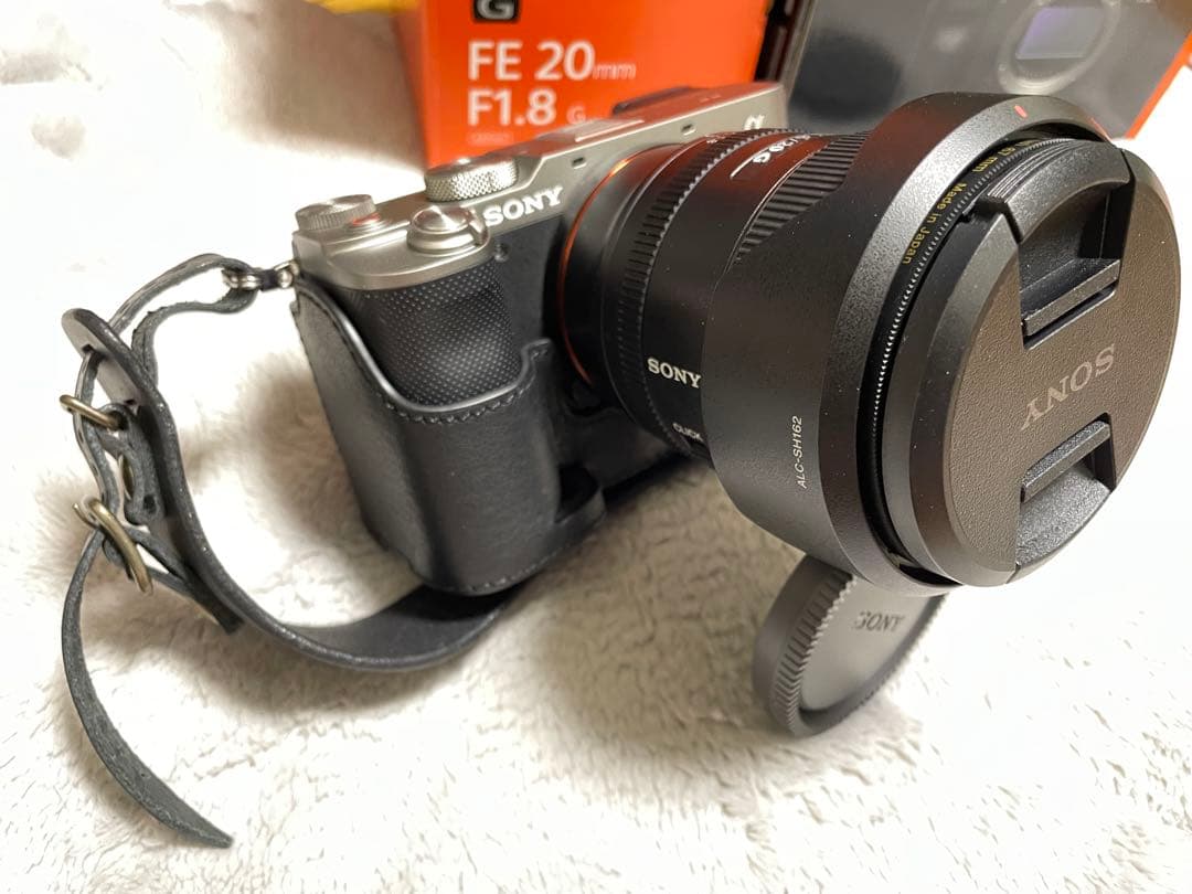 Sony Mirrorless Interchangeable Lips 7C