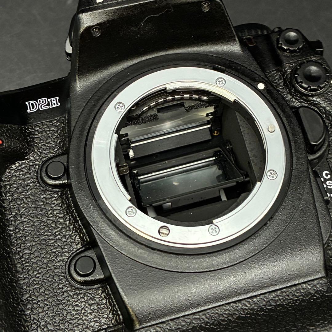 Nikon Digital Slr D2H 7232 Mh-22