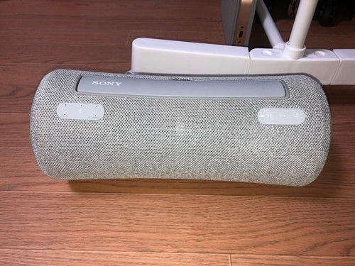 Sony Wireless Speakers Xg300 Bluetooth