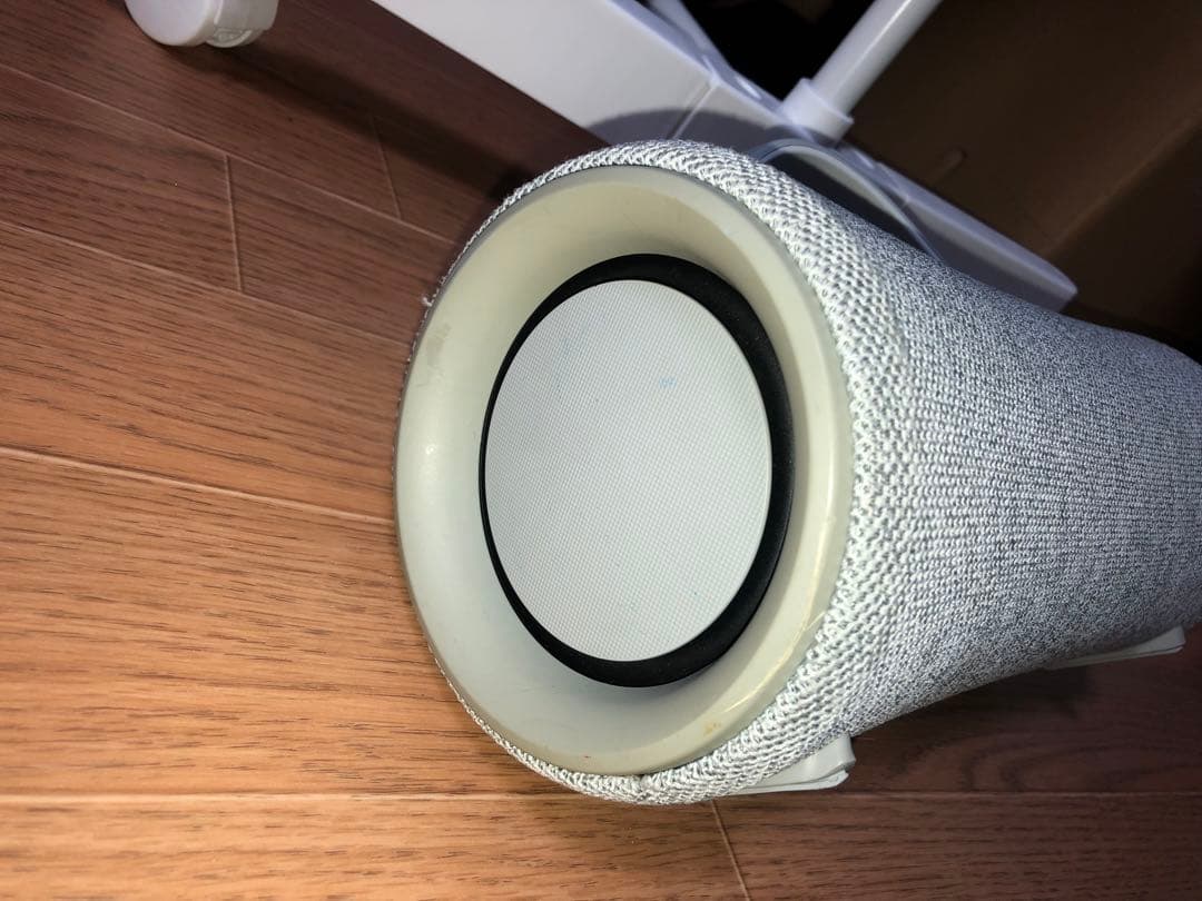 Sony Wireless Speakers Xg300 Bluetooth