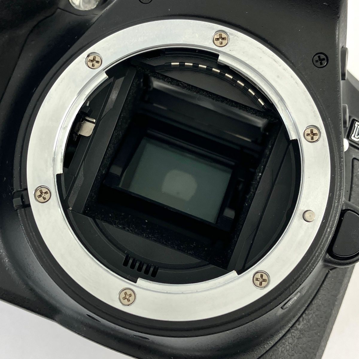Nikon Digital Slr D5300