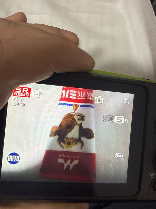 Compact Digital Camera Fujifilm Finepix Xp120