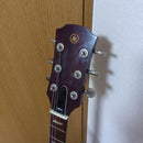 Yamaha Electric Guitars Sg-35 1970
