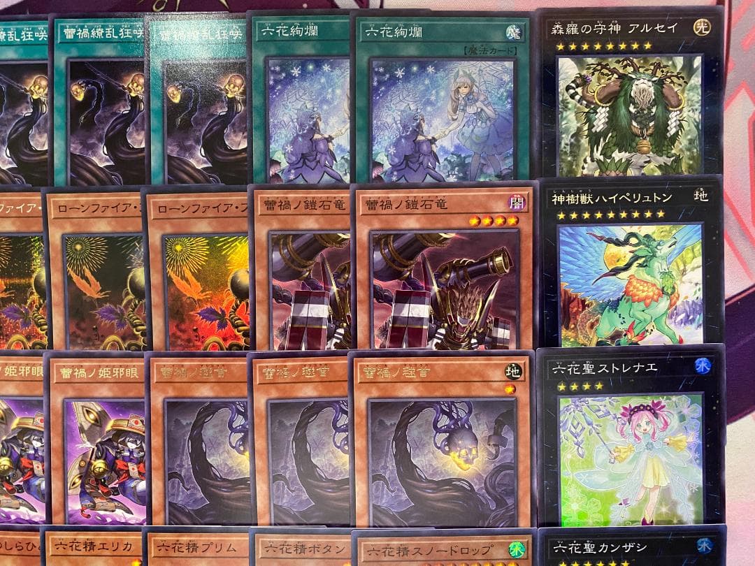 Yu-Gi-Oh! Ocg Duel Monsters (Japanese) 24