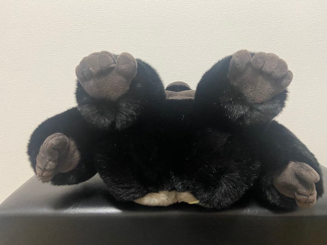 Stuffed Animal Body