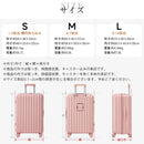 Carry Case S Tsa 360