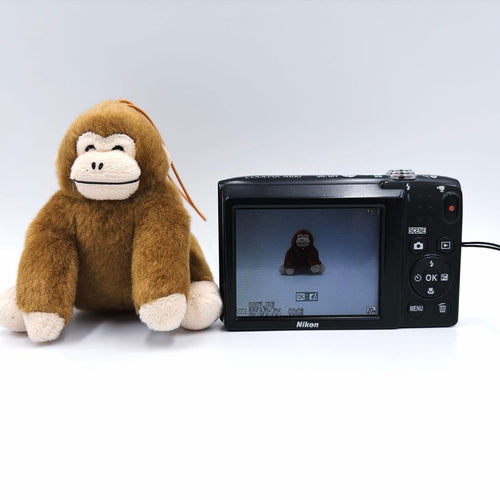Nikon Compact Digital Cameras Coolpix A100