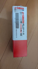 Ignition Wr250R,R 8Es-82310-00