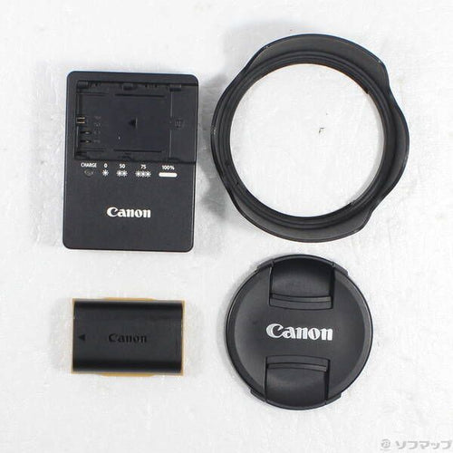Canon Digital Slr Eos 6D Ef24-70L F4L Is Usm (2020 Sdxc) 305