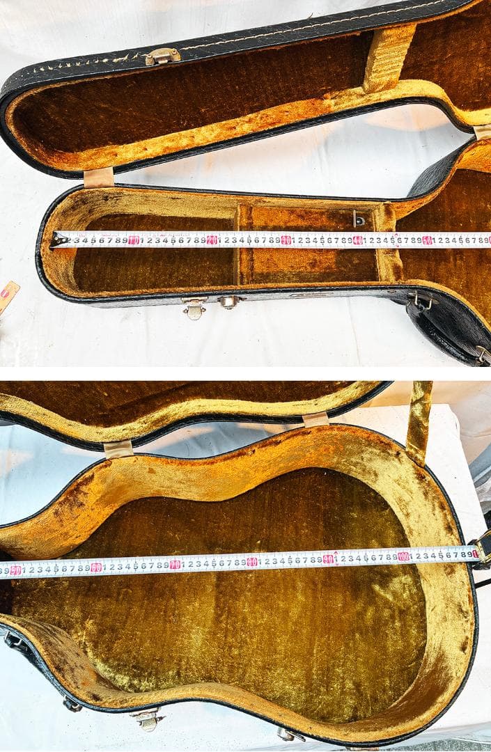 Yamaha Guitar Cases