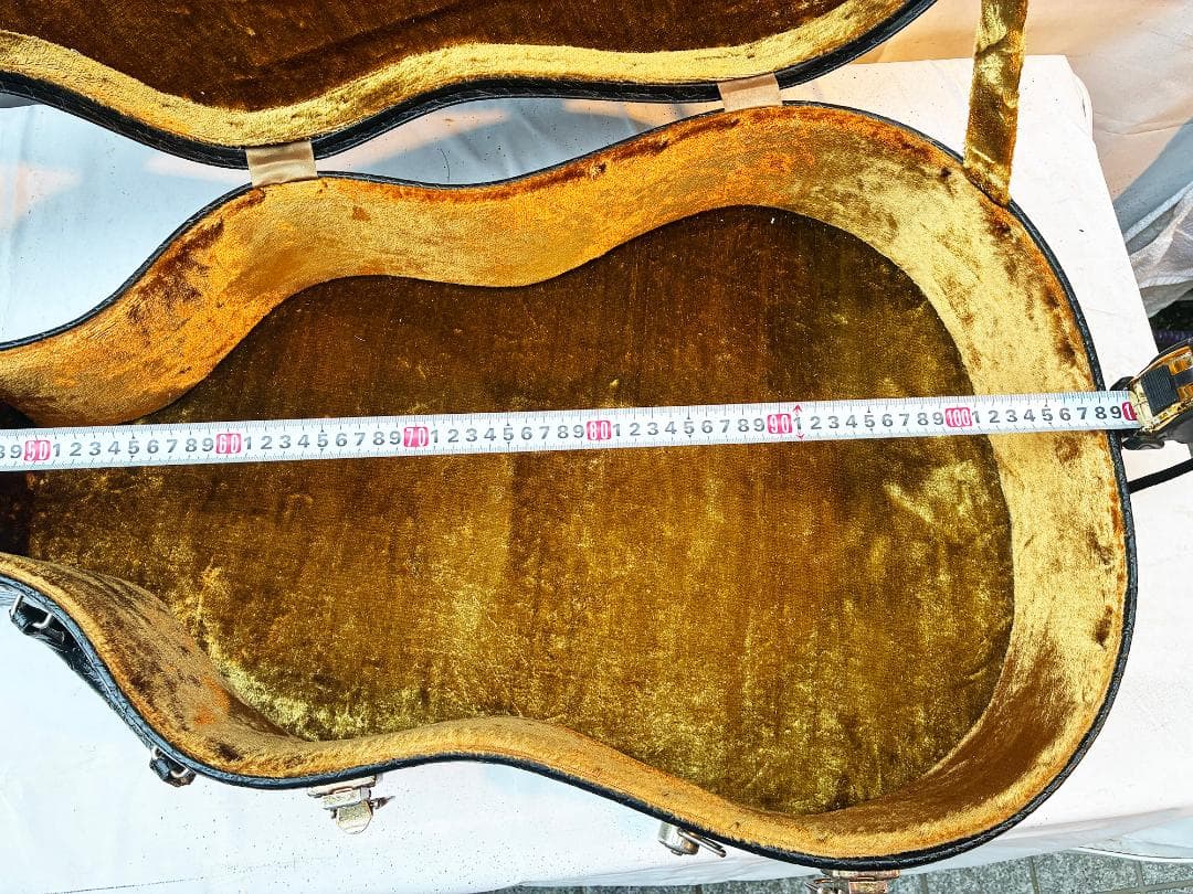 Yamaha Guitar Cases