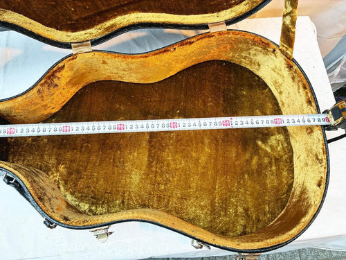 Yamaha Guitar Cases