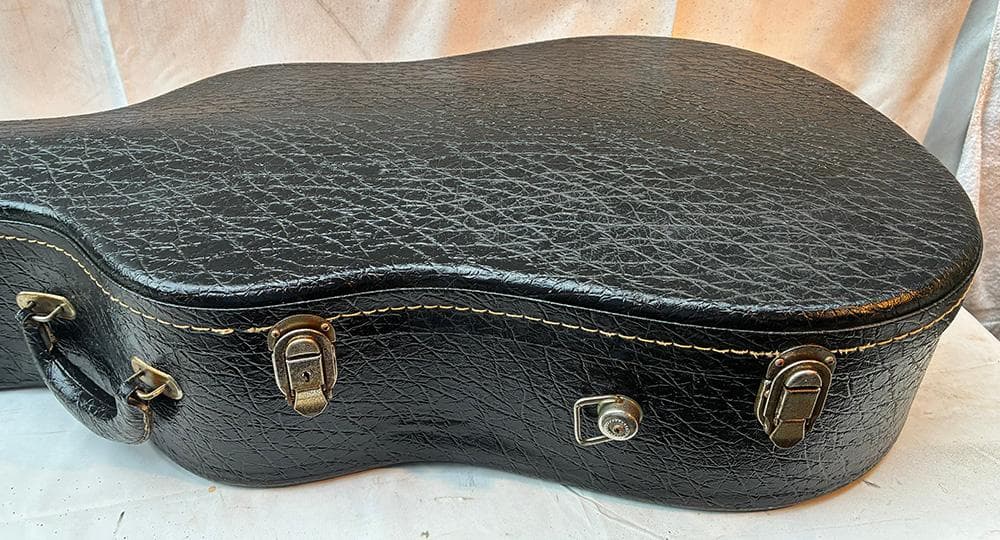 Yamaha Guitar Cases