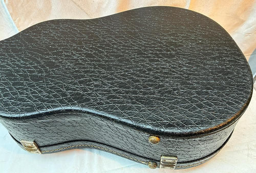 Yamaha Guitar Cases