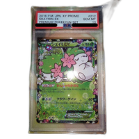 Pokemon Card Game Ex Psa10