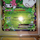 Pokemon Card Game Ex Psa10