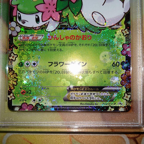 Pokemon Card Game Ex Psa10