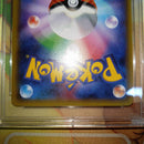 Pokemon Card Game Ex Psa10