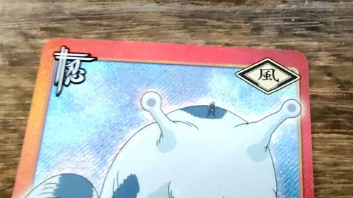 Others (Sr)