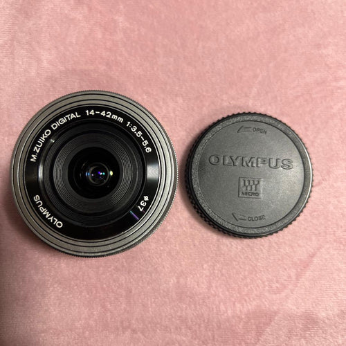 Olympus Mirrorless Interchangeable Lens Cameras E-M10 Mark 3859
