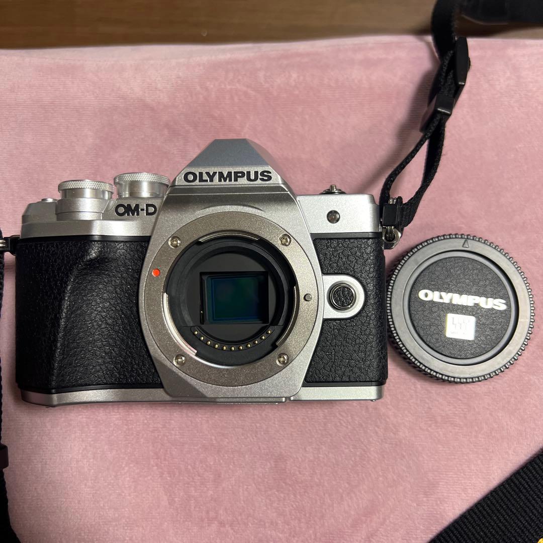 Olympus Mirrorless Interchangeable Lens Cameras E-M10 Mark 3859