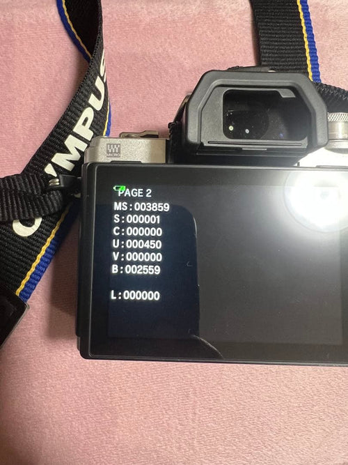 Olympus Mirrorless Interchangeable Lens Cameras E-M10 Mark 3859