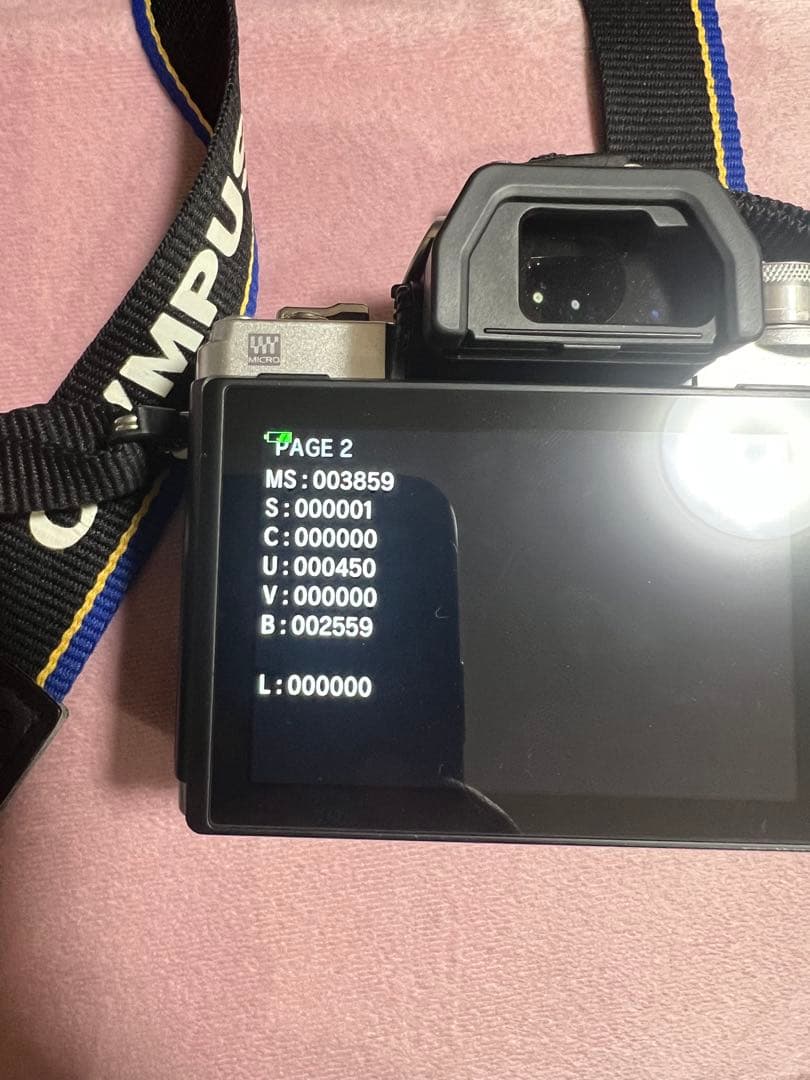 Olympus Mirrorless Interchangeable Lens Cameras E-M10 Mark 3859