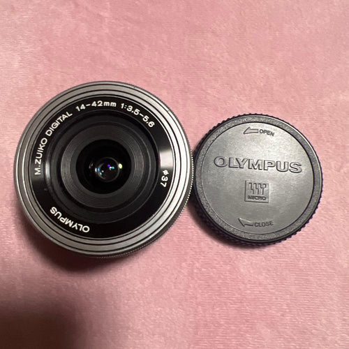 Olympus Mirrorless Interchangeable Lens Cameras E-M10 Mark 3859