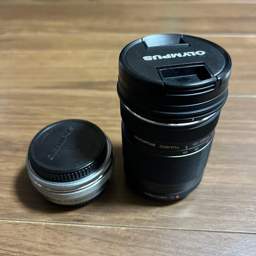 Olympus Mirrorless Interchangeable Lens Cameras E-M10 Mark 3859