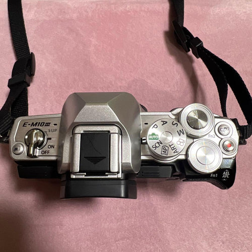 Olympus Mirrorless Interchangeable Lens Cameras E-M10 Mark 3859