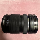Olympus Mirrorless Interchangeable Lens Cameras E-M10 Mark 3859