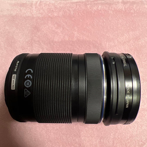 Olympus Mirrorless Interchangeable Lens Cameras E-M10 Mark 3859