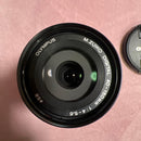 Olympus Mirrorless Interchangeable Lens Cameras E-M10 Mark 3859