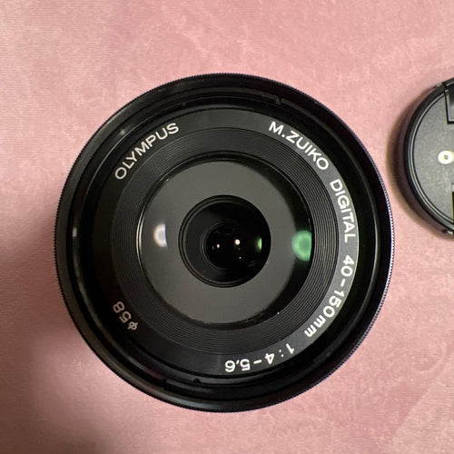 Olympus Mirrorless Interchangeable Lens Cameras E-M10 Mark 3859
