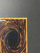 Yu-Gi-Oh! Ocg Duel Monsters (Japanese) Lv7