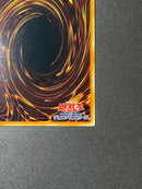Yu-Gi-Oh! Ocg Duel Monsters (Japanese) Lv7