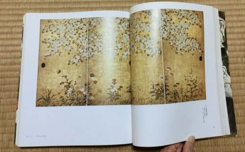 Art Design Music Rinpa Book