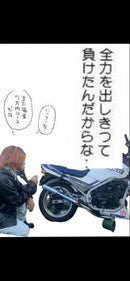 Honda Motorcycle Body Vt250Fe