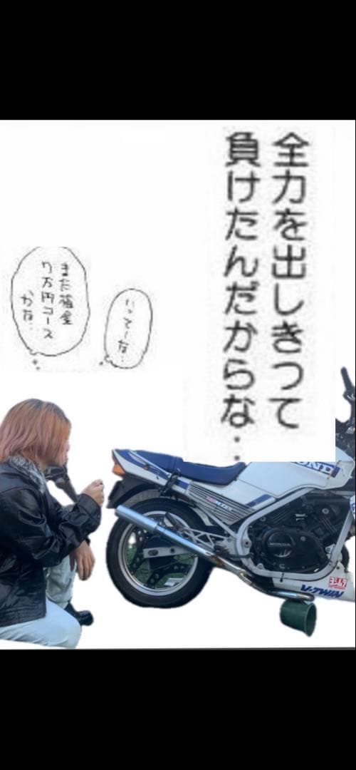 Honda Motorcycle Body Vt250Fe