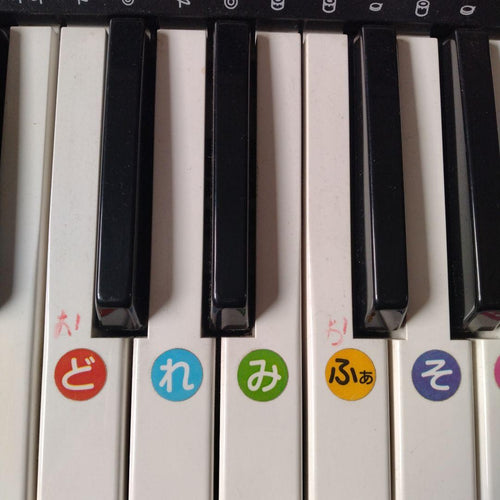 Casio Keyboard Electronic Piano Tone Bank Ct-636
