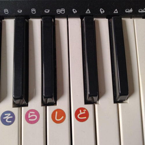 Casio Keyboard Electronic Piano Tone Bank Ct-636