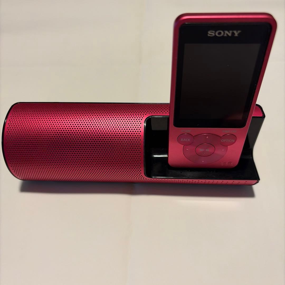Sony Digital Audio Players Rdp-Nwt19