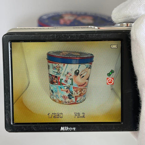 Nikon Compact Digital Camera Coolpix L30 Silver/